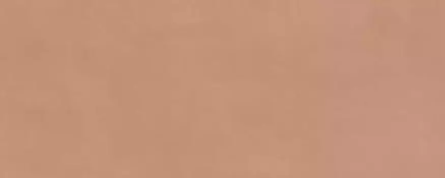 Настенная плитка «Kerama Marazzi» Каннареджо Matt. 50х20 7254 оранжевый