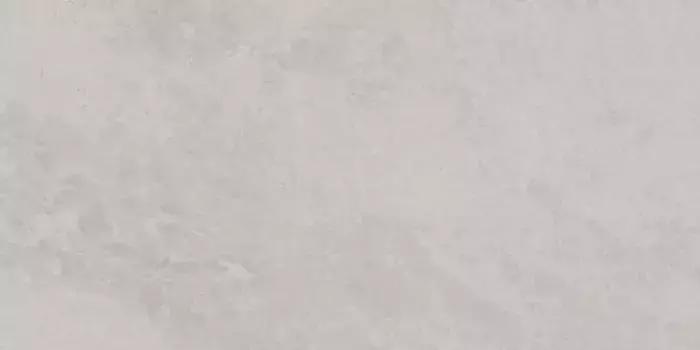 Настенная плитка «Kerama Marazzi» Риальто Glossy 80х40 48009R серый светлый