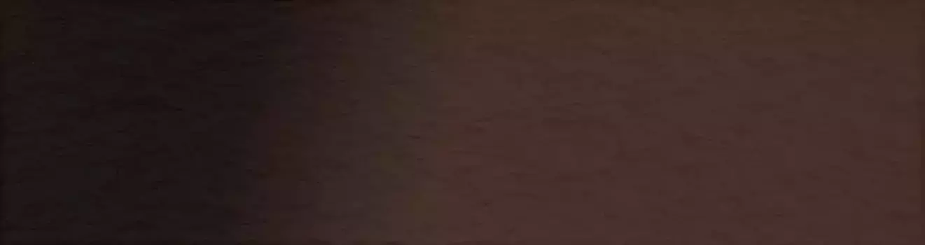 Настенная плитка «Керамин» Амстердам Шейд Matt. 24,5x6,5 рельеф СК000042781 коричнево-чёрный