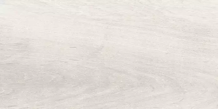 Настенная плитка «Laparet» Plant 40x20 00-00-5-08-00-11-2685 бежевый