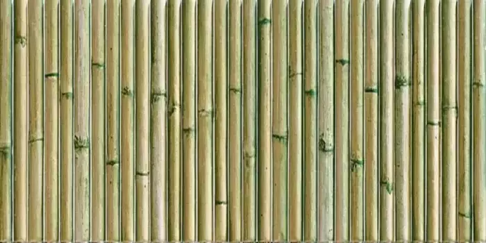 Настенная плитка «Mainzu» Bamboo Matt. 30x15 PT03452 green