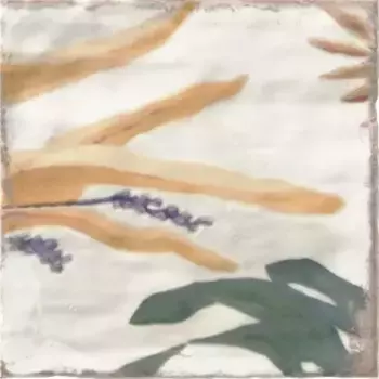 Настенная плитка «Mainzu» Livorno Decor Sonata Mix 20x20 PT02482