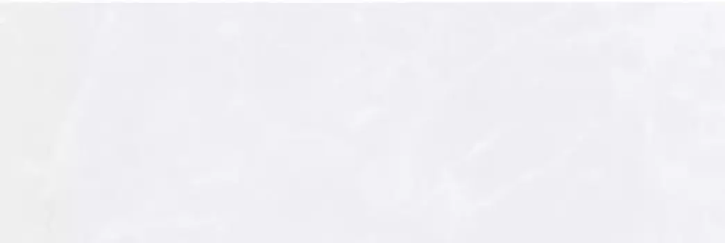 Настенная плитка «Нефрит Керамика» Ринальди Matt. 60x20 00-00-5-17-00-06-1720 серый