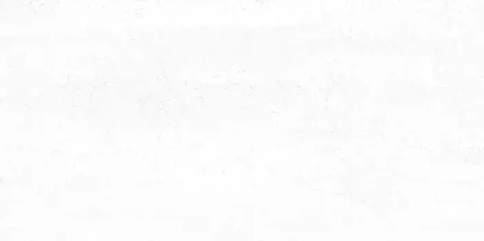 Настенная плитка «New Trend» Dax 50x24,9 WT9DAX00 White