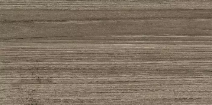 Настенная плитка «New Trend» Essense 50x24,9 WT9ESS08 Brown