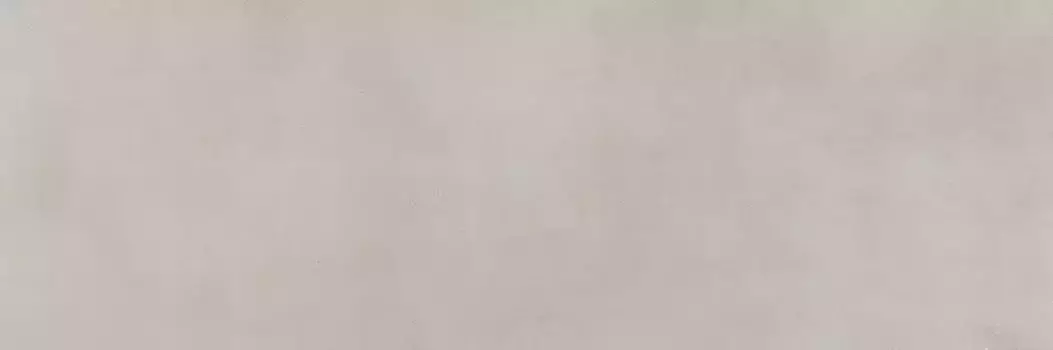 Настенная плитка «Pamesa» Ageri Matt. 100х33,3 031.627.0285.02566 taupe