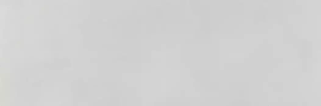 Настенная плитка «Pamesa» Ageri Matt. 100х33,3 031.627.0012.02566 blanco