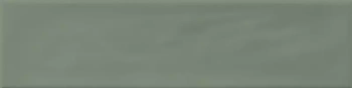 Настенная плитка «Pamesa» Origin Eleganza Glossy 30х7,5 027.890.0942.11183 saggio