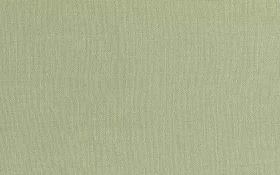 Настенная плитка «Шахтинская плитка» Эсте 02 40x25 низ СК000018223 зелёный