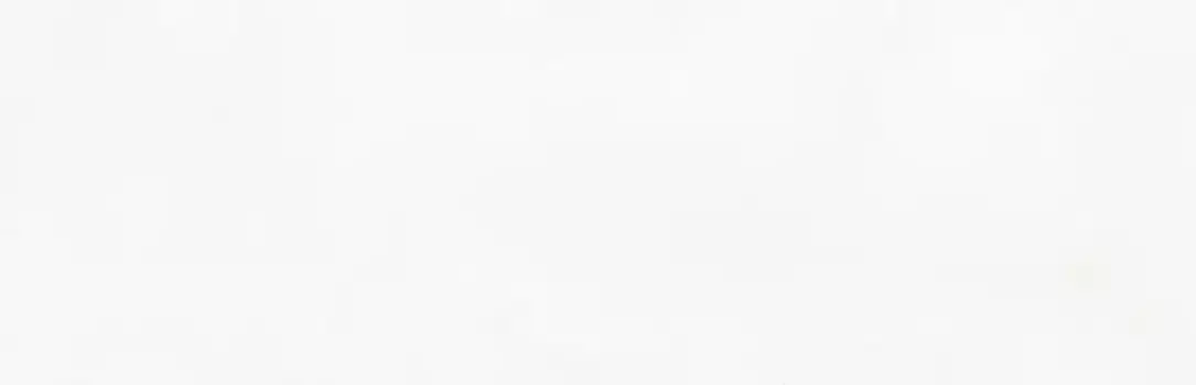 Настенная плитка «Undefasa» Mediterranea Blanco Matt. 100x31,5 70957