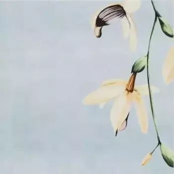 Настенный декор «Mainzu» Tikida Matt. 20x20 PT03490 мультиколор