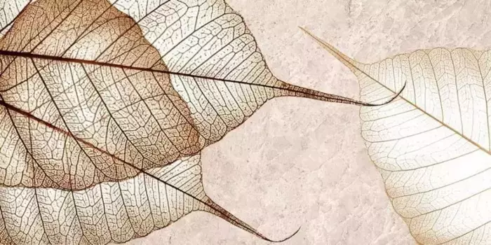 Настенный декор «Тянь-Шань Керамик» Ирида 1 Glossy 60x30 листья TP3688F1 светло-серый