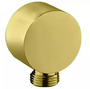 Подключение для душевого шланга «Allen Brau» Priority 5.31A15-GB брашированное золото