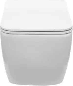 Подвесной унитаз безободковый «Allen Brau» Liberty 2 4.33007.20/4.33008.20 белый с сиденьем дюропласт с микролифтом белое