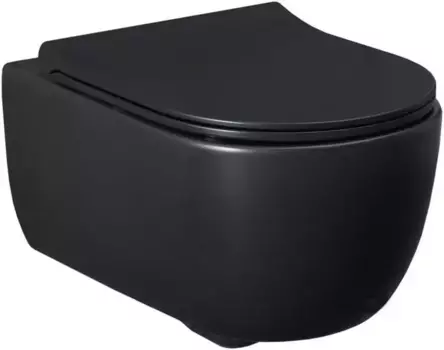 Подвесной унитаз безободковый «Allen Brau» Priority 4.31001.31/4.31004.31 черный матовый с сиденьем дюропласт с микролифтом чёрное