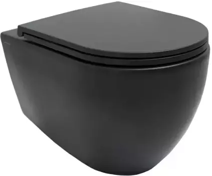Подвесной унитаз безободковый «Allen Brau» Reality 4.32006.31/4.32007.31 черный матовый с сиденьем дюропласт с микролифтом чёрное