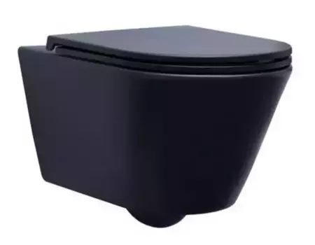 Подвесной унитаз безободковый «Aquanet» Lake-WB Rimless 316462/316466 черный с сиденьем дюропласт с микролифтом чёрное