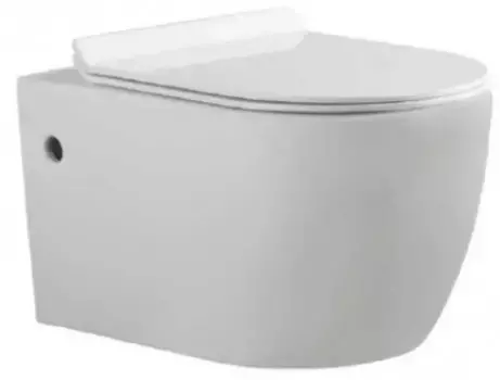 Подвесной унитаз безободковый «Bravat» Gina C21172UW-ENG белый с сиденьем дюропласт с микролифтом белое