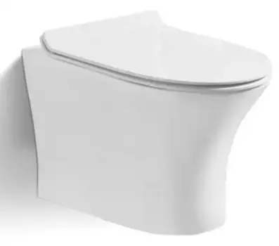 Подвесной унитаз безободковый «Cerutti» Bernina Aria 2617E белый с сиденьем дюропласт с микролифтом белое