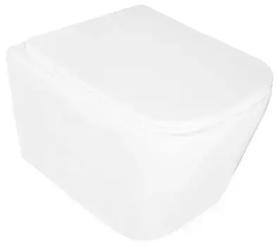 Подвесной унитаз безободковый «Loranto» Delhi 91343 белый с сиденьем дюропласт с микролифтом белое
