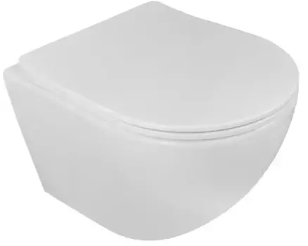 Подвесной унитаз безободковый «Loranto» Ester 87265 белый с сиденьем дюропласт с микролифтом белое