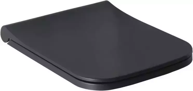 Сиденье для унитаза «Allen Brau» Infinity 4.21014.AN дюропласт с микролифтом антрацит