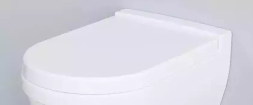 Сиденье для унитаза «Ambassador» Nord 132T20101 дюропласт с микролифтом белое матовое