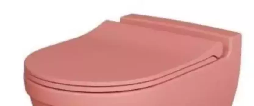 Сиденье для унитаза «Ambassador» Nord 132T20901S дюропласт с микролифтом розовое