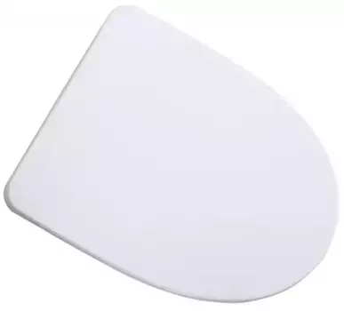 Сиденье для унитаза «Belbagno» Steam BB130SC дюропласт с микролифтом белое