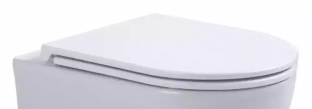Сиденье для унитаза «Sintesi» SIN-CT-151 дюропласт с микролифтом белое SIN-CT-151