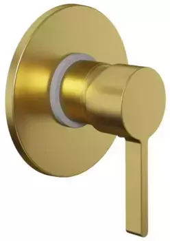 Смеситель для душа «Paini» Brera 74PJ690 матовое золото