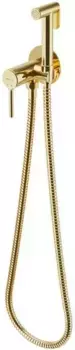 Смеситель с гигиеническим душем «Excellent» Pi AREX.1204GL золото