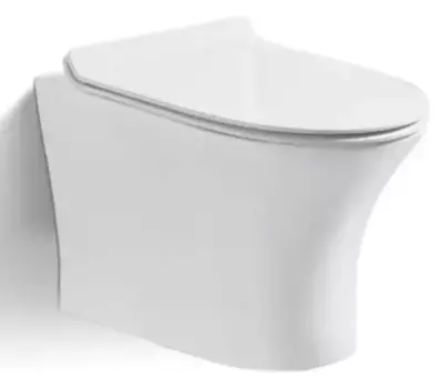 Уценка, Подвесной унитаз безободковый «Cerutti» Bernina Aria 2617E белый с сиденьем дюропласт с микролифтом белое