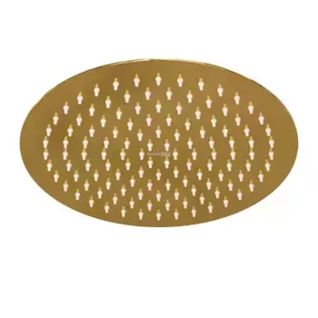 Верхний душ «Wasserkraft» A208 золото