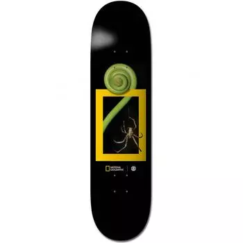 Дека для скейтборда Element 8 Nat Geo Spider