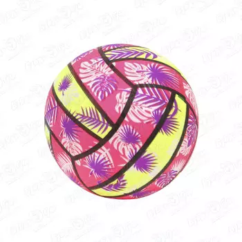 Мяч волейбольный 23см