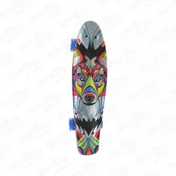 Пенниборд Fox с яркими акцентами 56х16см