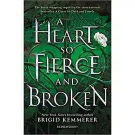 A Heart So Fierce and Broken