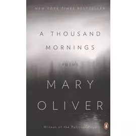 A Thousand Mornings