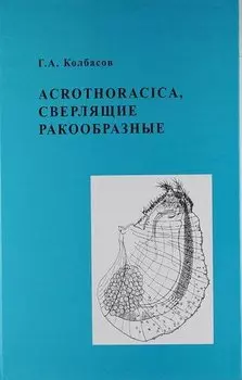 Acrothoracica, сверлящие ракообразные