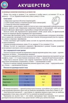 Акушерство