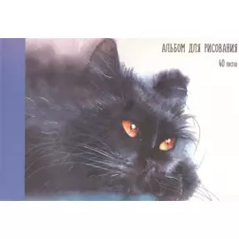 Альбом для рисования Listoff, "Котик", А4, 40 листов, на склейке