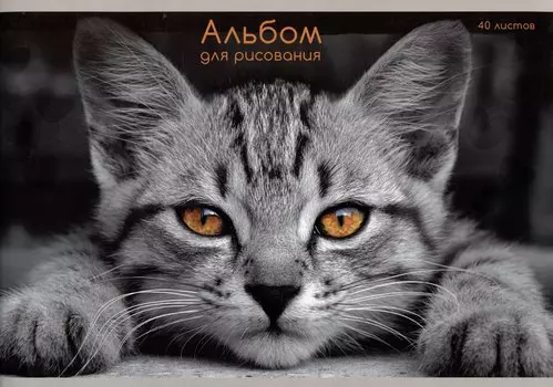 Альбом для рисования Listoff, "Взгляд кота", А4, 40 листов, на скрепке