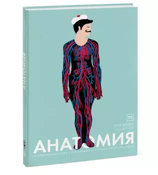 Анатомия