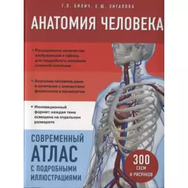 Анатомия человека. Современный атлас с подробными иллюстрациями