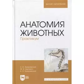 Анатомия животных. Практикум: учебное пособие для вузов