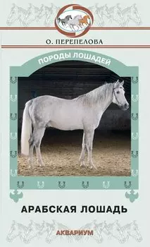 Арабская лошадь