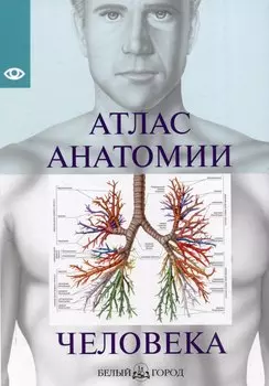 Атлас анатомии человека, изд 2025