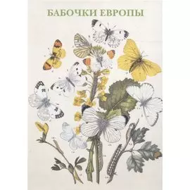 Бабочки Европы. Набор открыток