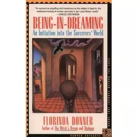 Being-in-dreaming